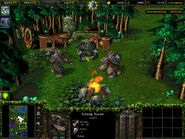 The Barkskin furbolg tribe in Warcraft III: Reign of Chaos.