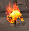 Fiery Instructor