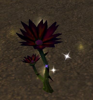 Black Lotus | WoWWiki | Fandom