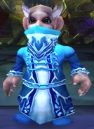 A Gnome Disciple of Frost