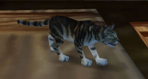 Cat Carrier Black Tabby Vanilla WoW Wiki Fandom
