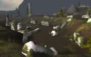 Night Elf forwardcamp at ruins