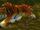 Elder Stranglethorn Tiger