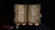 Journal entry for the Afflicted