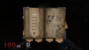 Journal fallen