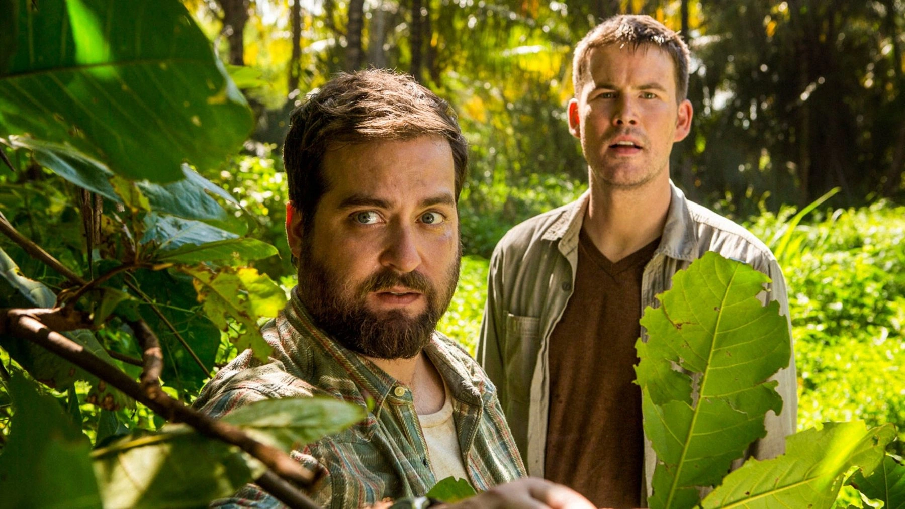 Brooke Dillman \u0026 Mary Scheer : r/CelebrityLookalikes, image size:1800x1013