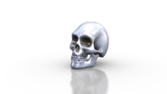 Steel skull