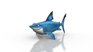 Shark