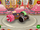 Bake a kart !.png