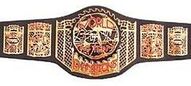 ECWtagbelt.jpg