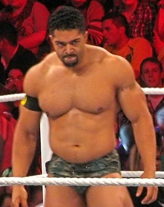 David Otunga | Wrestlepedia Wiki | Fandom