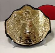 Wrestling New Classic Championship