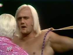 Hollywood Hulk Hogan Wrestlepedia Wiki Fandom