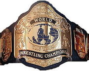 NWA World Tag Team Titles