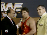 David Sammartino.png
