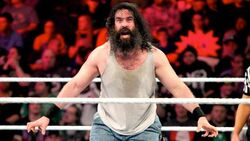 Luke Harper Brodie Lee Wrestlepedia Wiki Fandom