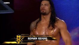 Roman Reigns 04