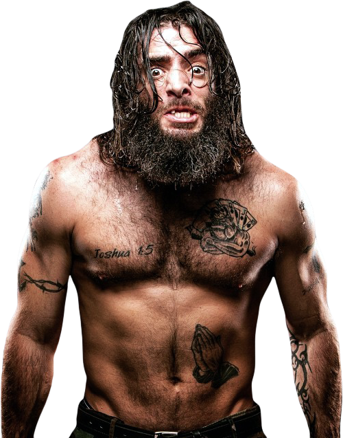 Mark Briscoe Wrestlepedia Wiki Fandom