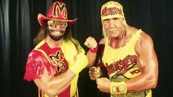 Mega Powers - Wikipedia