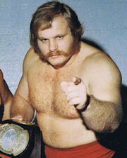 Ole Anderson.jpg