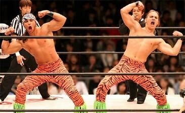 Tag Teams and Factions Wrestlepedia Wiki Fandom