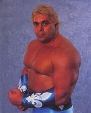 Dino Bravo.jpg