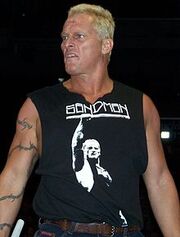 The Sandman.jpg