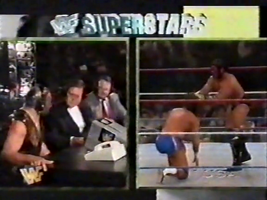 1997 01-05 WWF Superstars (2)