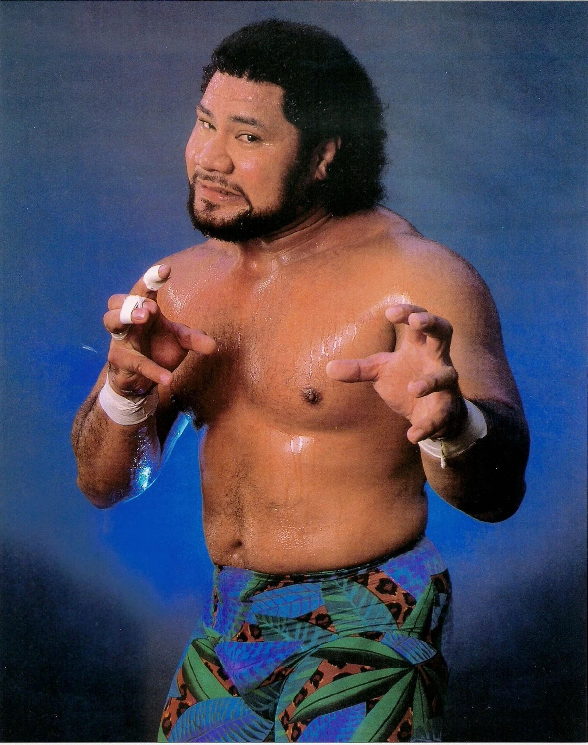 Haku Meng Wrestlepedia Wiki Fandom