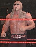 Scott Steiner