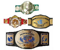 Wwe Intercontinental Championship Wrestlepedia Wiki Fandom