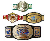 WWE IC Title History