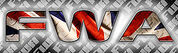 Frontier Wrestling Alliance.jpg