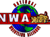 National Wrestling Alliance World Tag Team Championship (Minneapolis version)