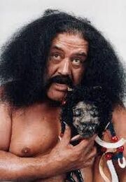 Afa Wild Samoans.jpg
