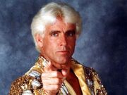 Ric Flair.jpg