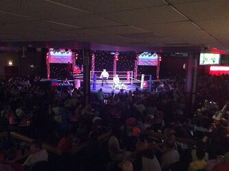 Welsh Wrestling.jpg