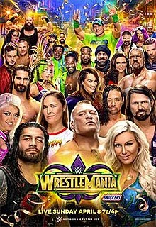 WWE WrestleMania 34 | Wrestlepedia Wiki | Fandom