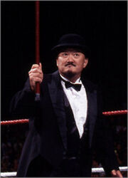 Mr Fuji