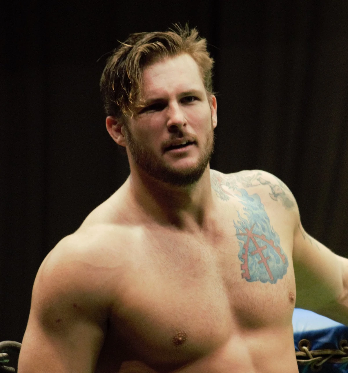 Shane Thorne Shane Haste Wrestlepedia Wiki Fandom