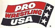 Pro Wrestling USA.jpg