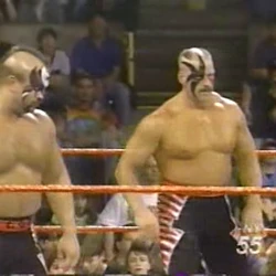 Road Warriors - Legion of Doom | Wrestlepedia Wiki | Fandom
