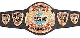 ECW World Television Championship | Wrestlepedia Wiki | Fandom