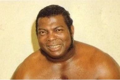 Professor Toru Tanaka | Wrestlepedia Wiki | Fandom