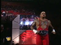WWF Royal Rumble 1996 | Wrestlepedia Wiki | Fandom