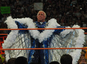 Ricflairwm24