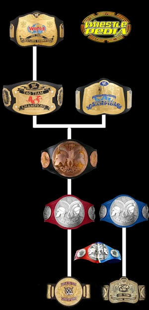 wwe tag team championship belt 2022