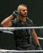WWE Seth Rollins.jpg (14 KB)