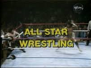 WWF AllStar Wrestling Image