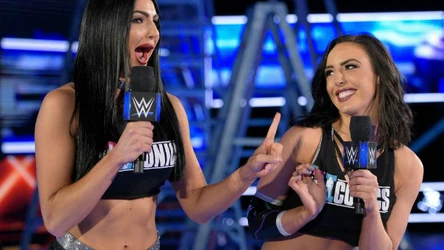 The Iiconics/Iinspiration